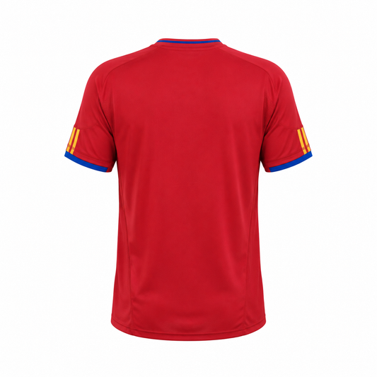 Camiseta selección España local Mundial 2010 - vista trasera